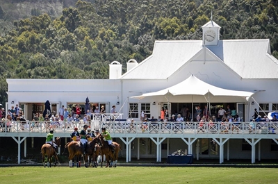 Plett and polo go hand in hand